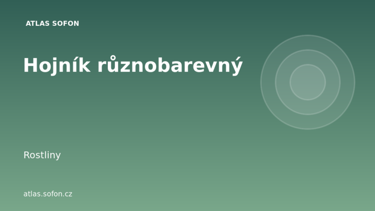 Hojník různobarevný