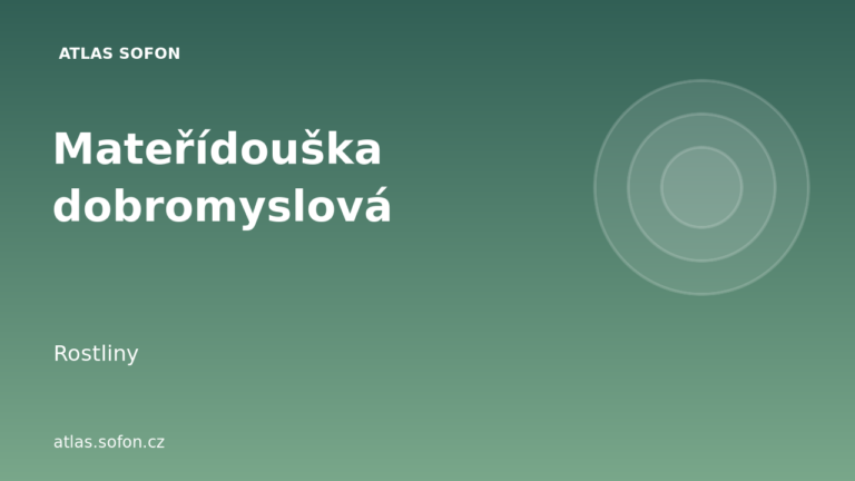 Mateřídouška dobromyslová