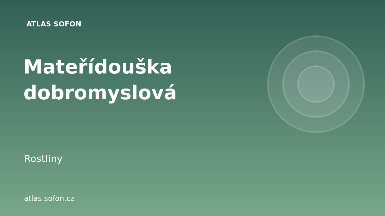 Mateřídouška dobromyslová