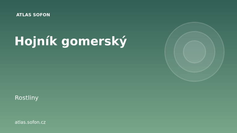 Hojník gomerský