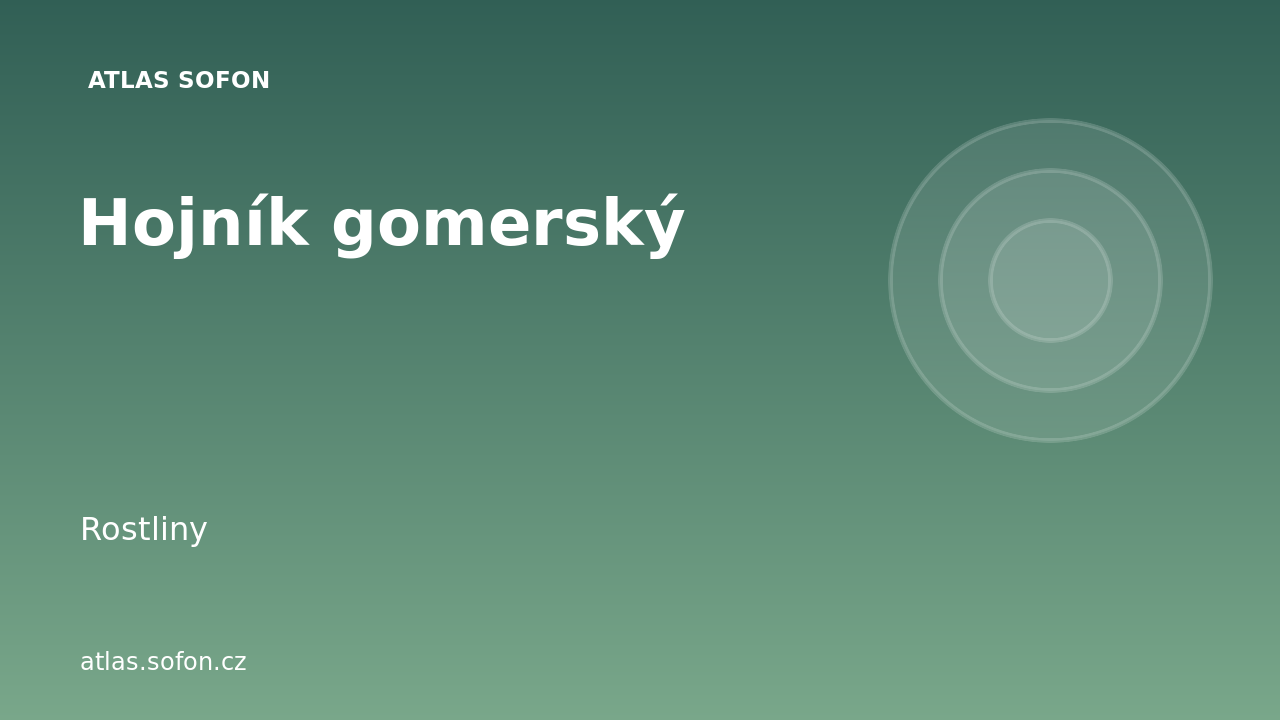 Hojník gomerský