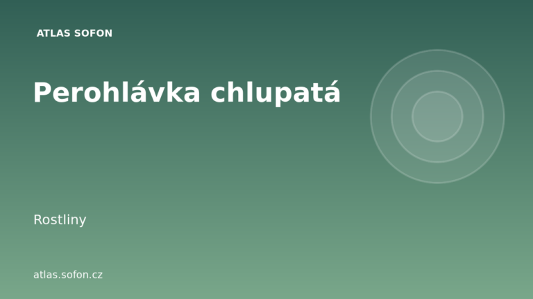 Perohlávka chlupatá Perohlávka chlupatá