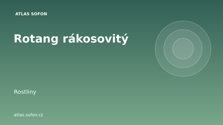 Rotang rákosovitý