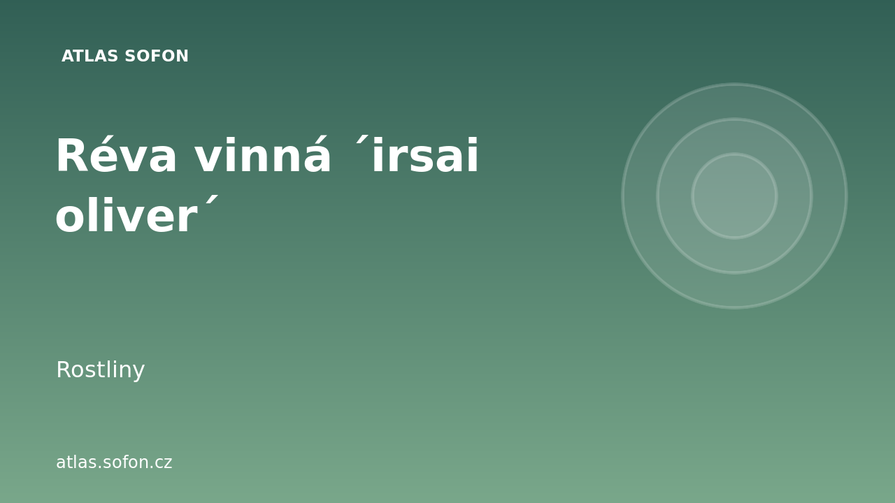 Réva vinná ´irsai oliver´