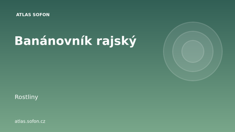 Banánovník rajský