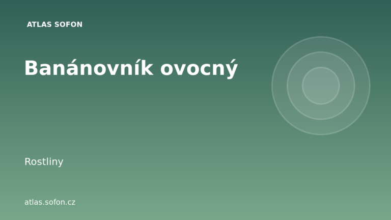 Banánovník ovocný