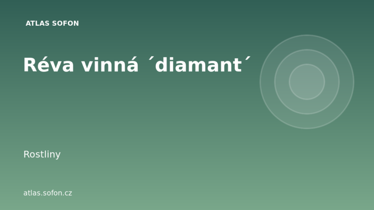 Réva vinná ´diamant´