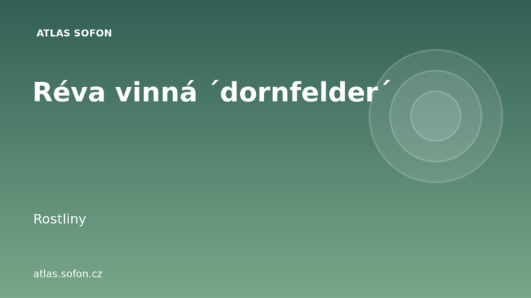 Réva vinná ´dornfelder´ Réva vinná ´dornfelder´