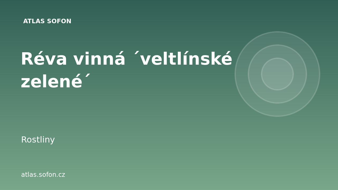 Réva vinná ´veltlínské zelené´