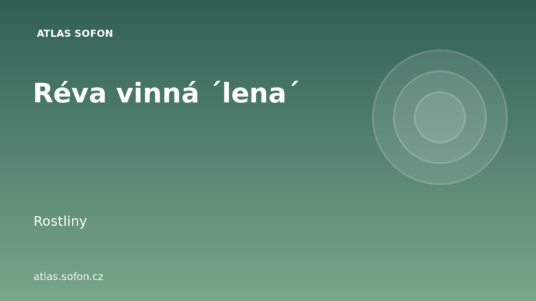 Réva vinná ´lena´