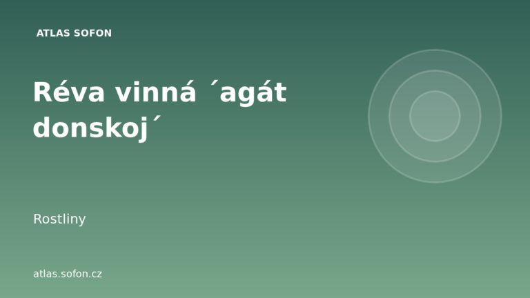 Réva vinná ´agát donskoj´