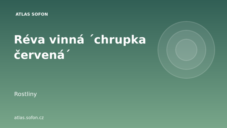 Réva vinná ´chrupka červená´