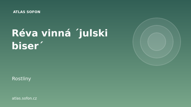 Réva vinná ´julski biser´