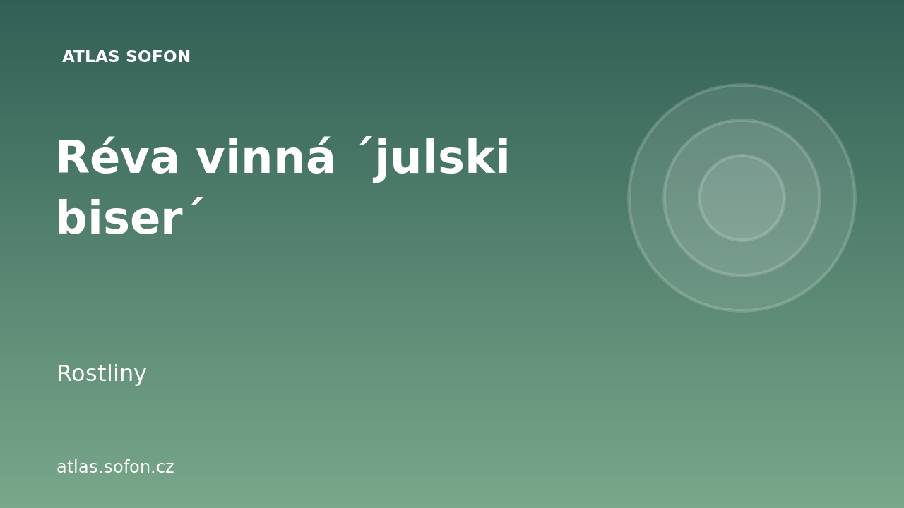 Réva vinná ´julski biser´