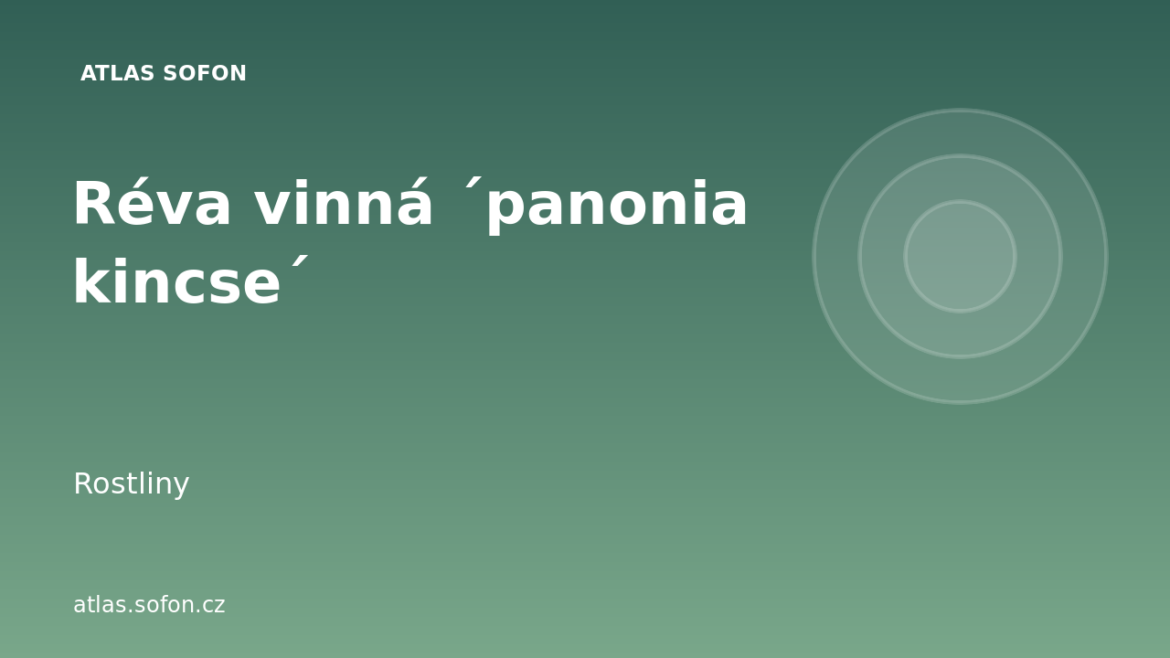 Réva vinná ´panonia kincse´