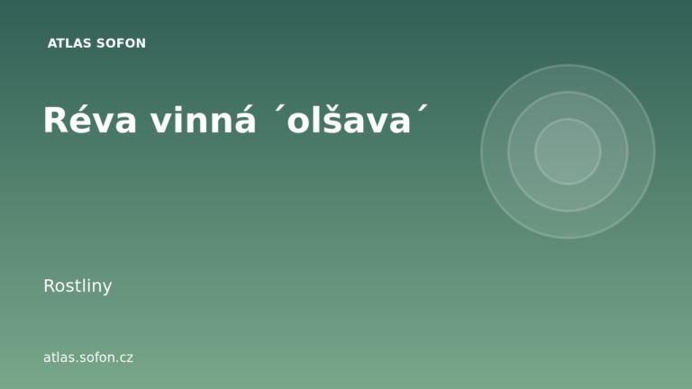 Réva vinná ´olšava´
