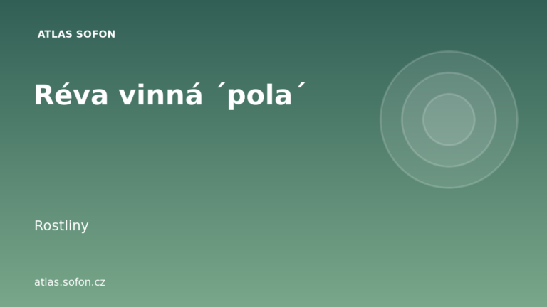 Réva vinná ´pola´