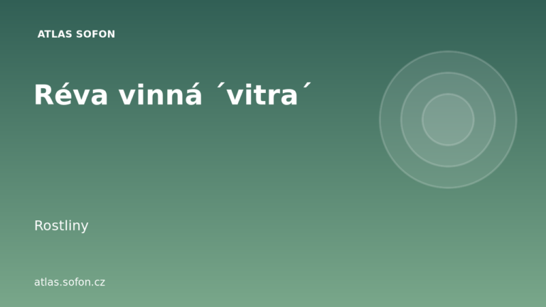 Réva vinná ´vitra´
