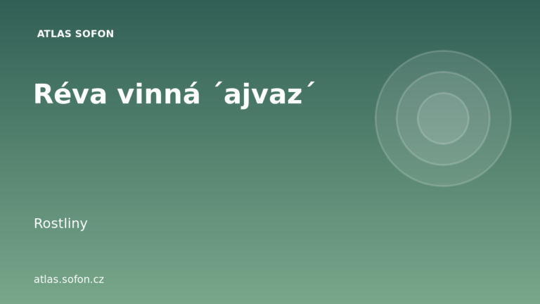 Réva vinná ´ajvaz´