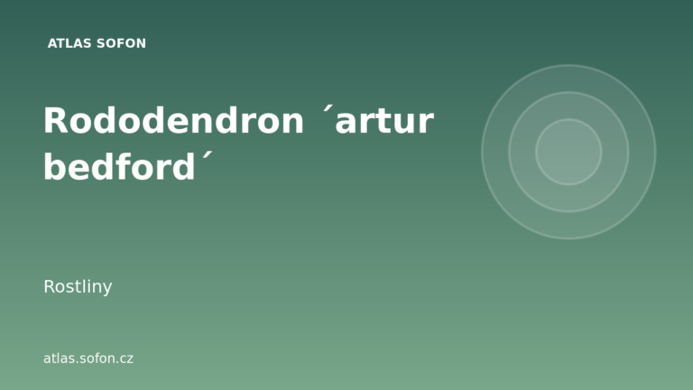 Rododendron ´artur bedford´