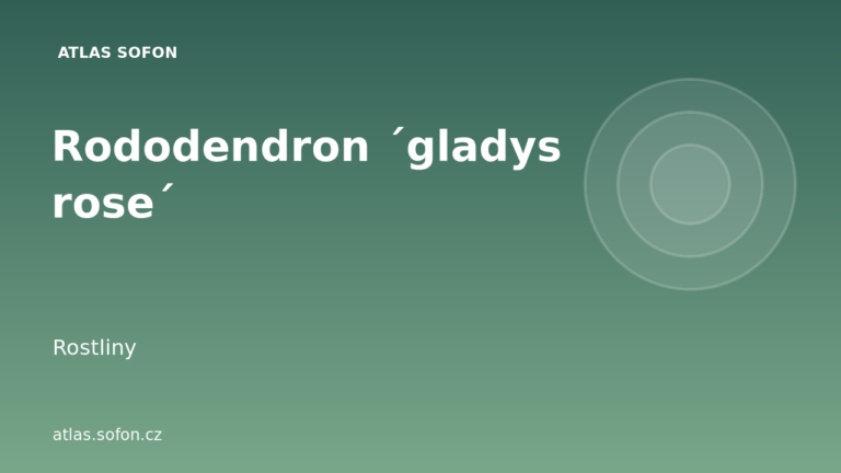 Rododendron ´gladys rose´