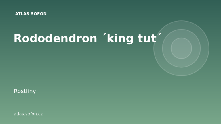 Rododendron ´king tut´