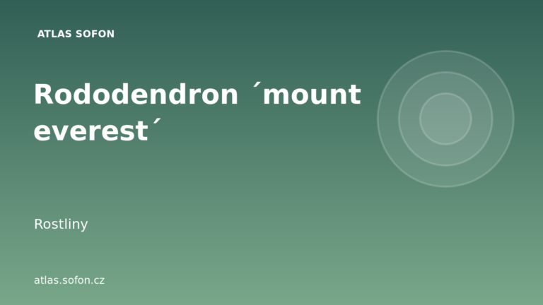 Rododendron ´mount everest´