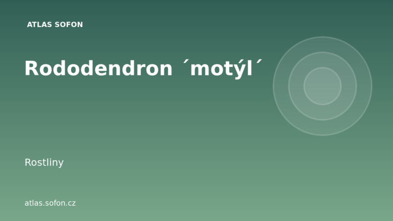 Rododendron ´motýl´