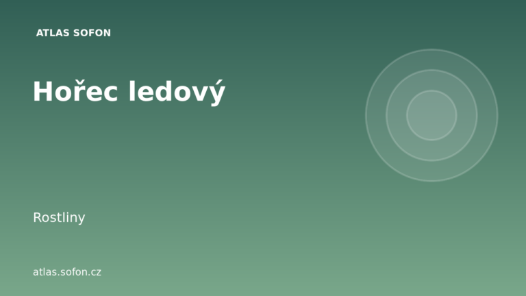 Hořec ledový