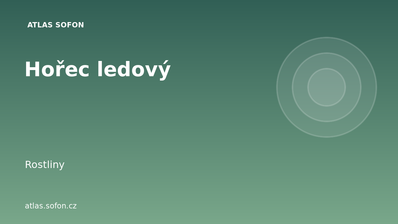 Hořec ledový