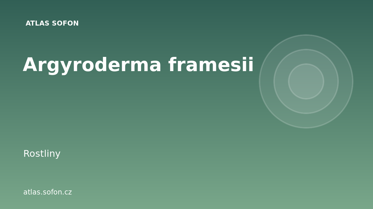 Argyroderma framesii