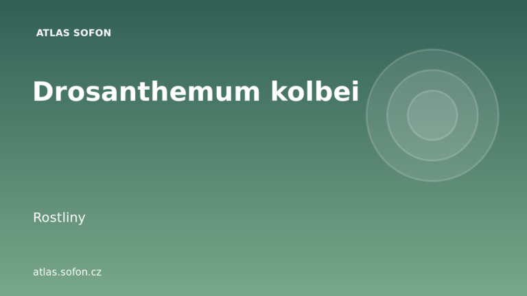 Drosanthemum kolbei