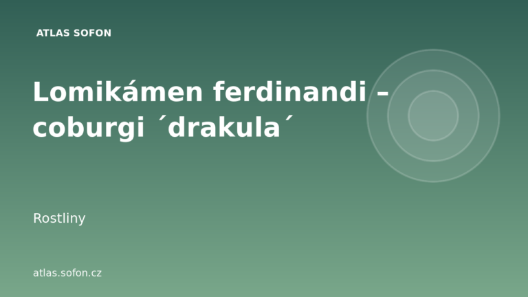 Lomikámen ferdinandi – coburgi ´drakula´ Lomikámen ferdinandi – coburgi ´drakula´
