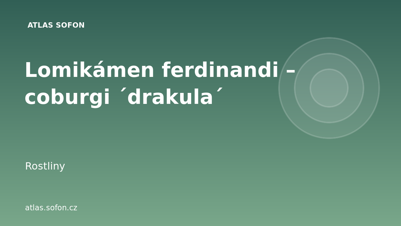 Lomikámen ferdinandi – coburgi ´drakula´