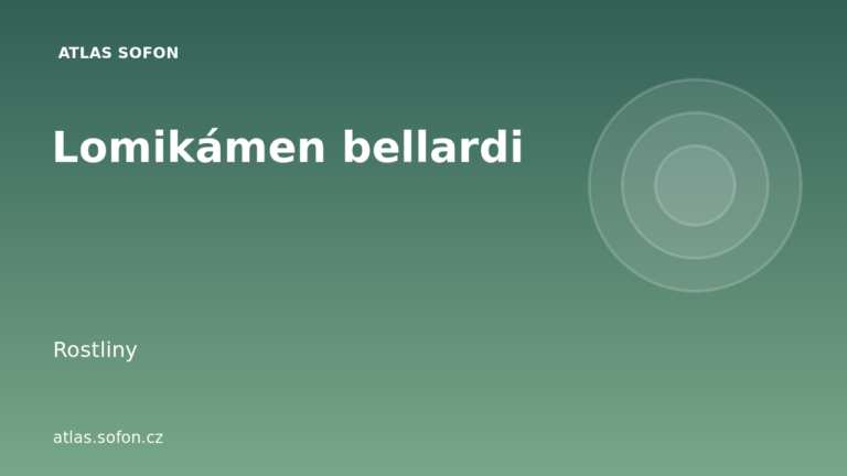 Lomikámen bellardi
