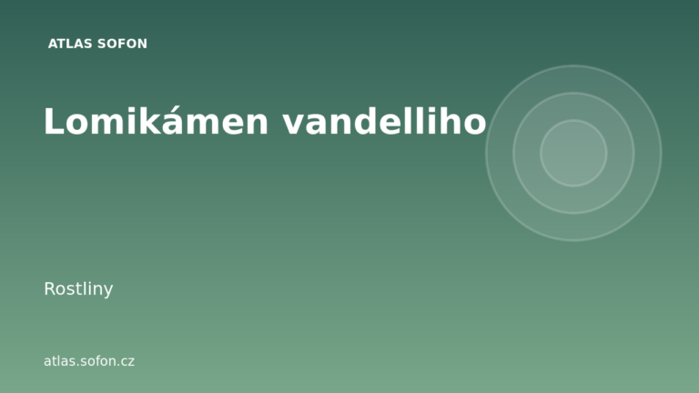 Lomikámen vandelliho