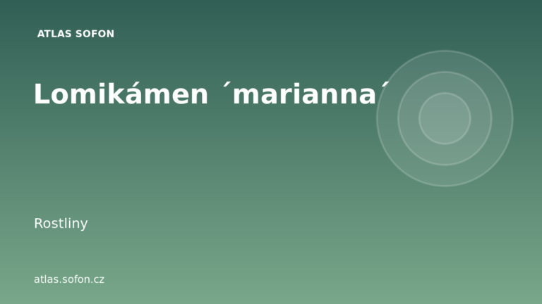 Lomikámen ´marianna´