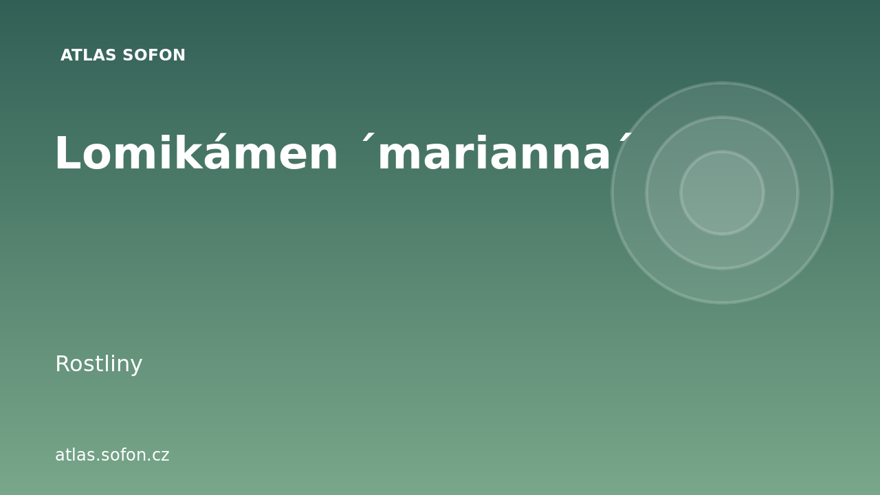 Lomikámen ´marianna´