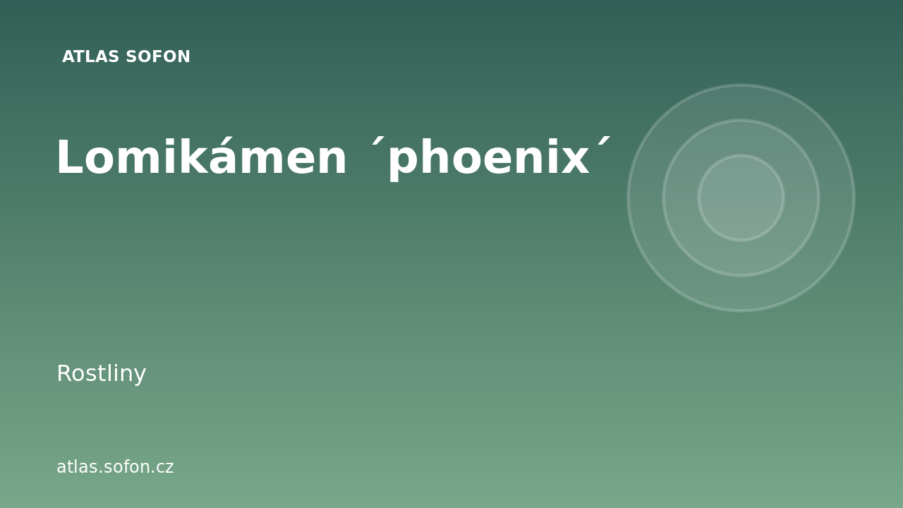 Lomikámen ´phoenix´