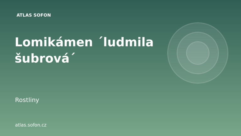 Lomikámen ´ludmila šubrová´