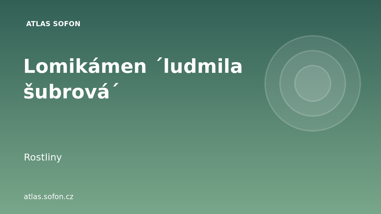 Lomikámen ´ludmila šubrová´