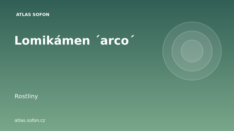Lomikámen ´arco´