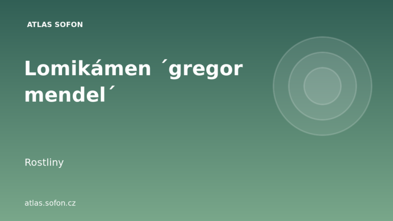Lomikámen ´gregor mendel´
