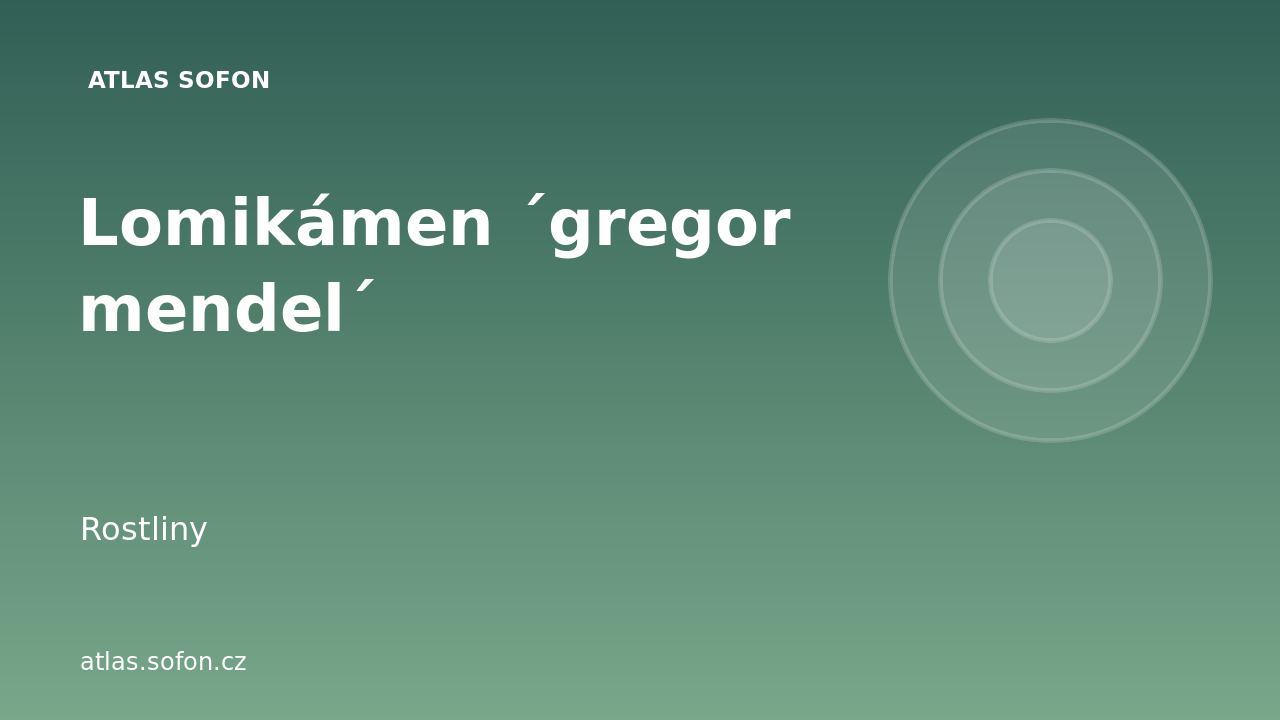 Lomikámen ´gregor mendel´