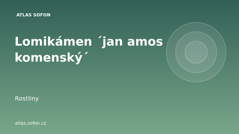 Lomikámen ´jan amos komenský´