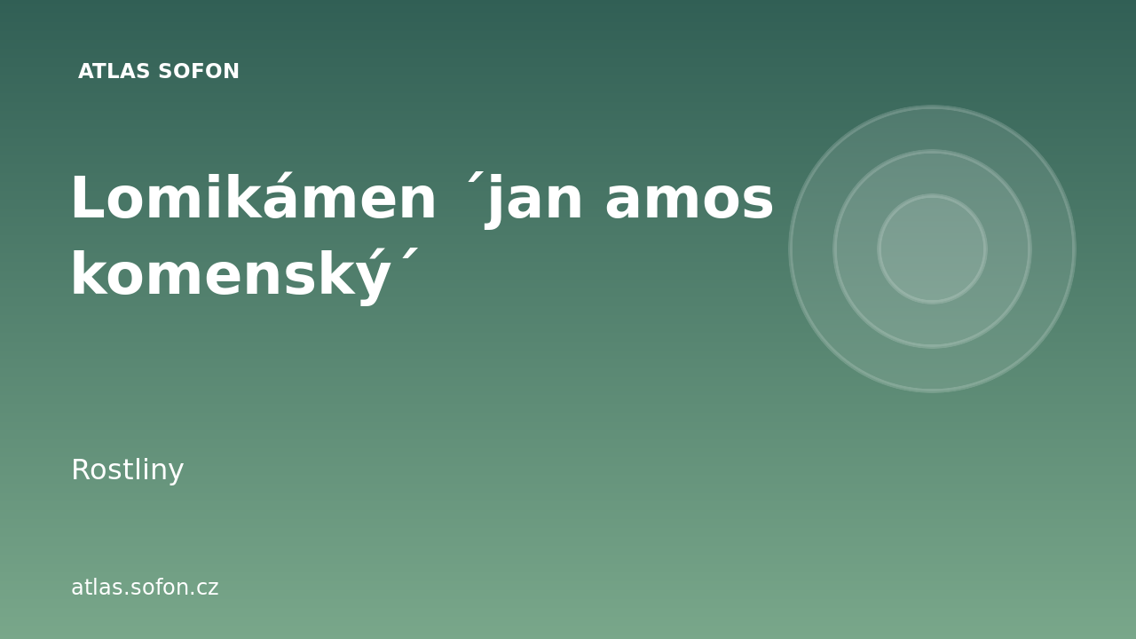 Lomikámen ´jan amos komenský´