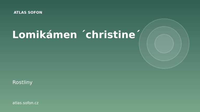 Lomikámen ´christine´