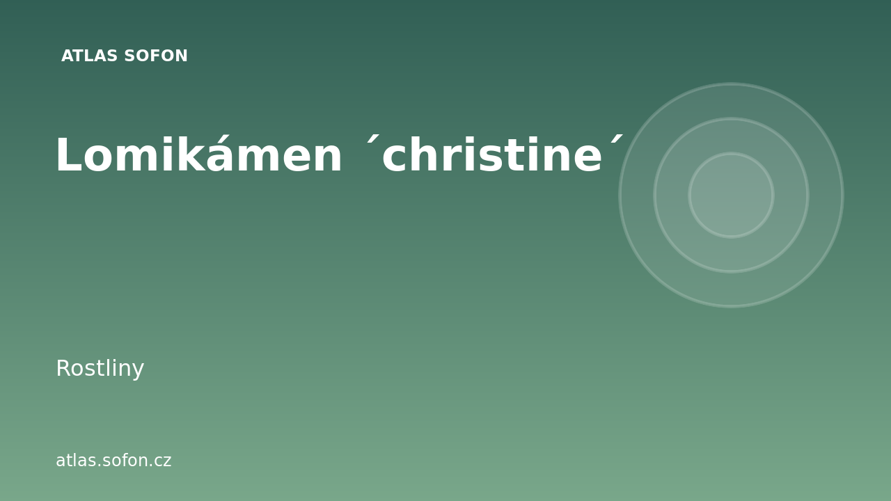 Lomikámen ´christine´