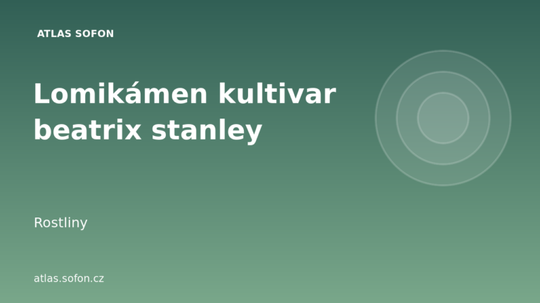 Lomikámen kultivar beatrix stanley