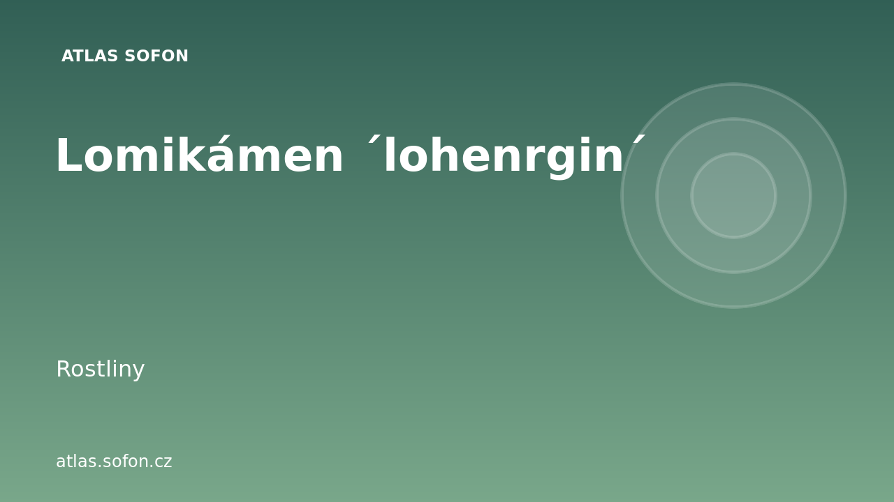 Lomikámen ´lohenrgin´